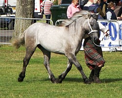 Iliana at Equifest 2013