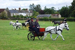 Duke driving