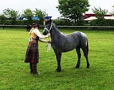 Lanark 2nd Large Breeds Yearling Nottingham County Show