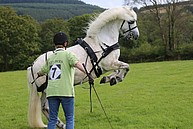 Major Tom in Wales