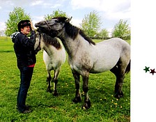 Candian vistor at the Highland pony stud