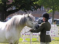 Rupert - Royal Show 2009