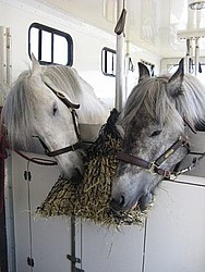 Rupert & Izzy at Bath & West Show