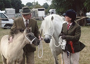 Supreme Champion Highland In Hand NPS Malvern 2010