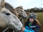 Iliana, Pink Pony & Tamar