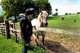 Highland Ponies welcome vistor form Canada