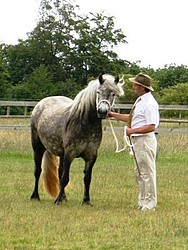 Berkshire College - Izzy In Hand