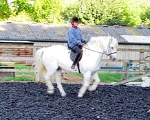 Monty slowly coming back into work