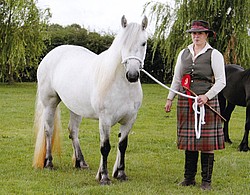 Iliana at Newark Show