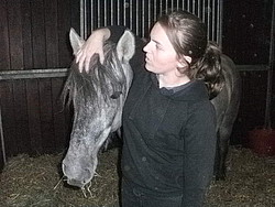 Balleroy Rigoletto in his new home