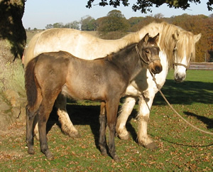 Yasmin and Connie