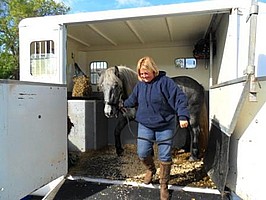 Balleroy Rajah arrives in the New Forest