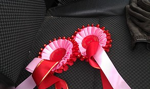 Balleroy Magnum winnings