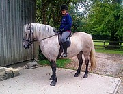 Roscoe ridden Highland pony