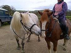 Iona & Buster