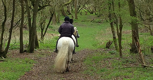 Highland Tandem - Rupert & Iona