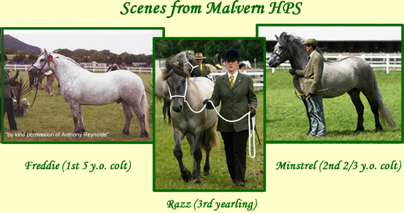 Balleroy successes at Malvern HPS Balleroy successes at Malvern HPS