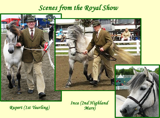 Balleroy Successes at The Royal Show