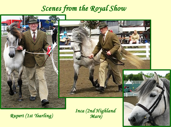 Balleroy Successes at The Royal Show Balleroy Successes at The Royal Show
