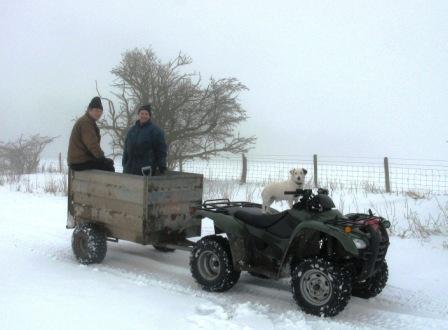 Roger & Martin being chauffeured by Chalkie!